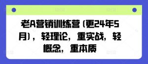 老A营销训练营(更24年5月),轻理论,重实战,轻概念,重本质-淘金日记