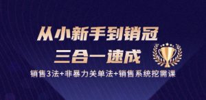 从小新手到销冠 三合一速成:销售3法+非暴力关单法+销售系统挖需课 (27节)-淘金日记