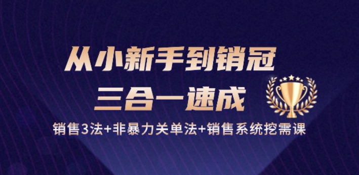 从小新手到销冠 三合一速成：销售3法+非暴力关单法+销售系统挖需课 (27节)-淘金日记