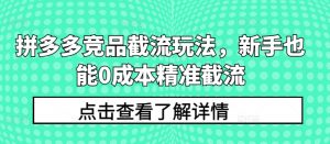 拼多多竞品截流玩法,新手也能0成本精准截流-淘金日记