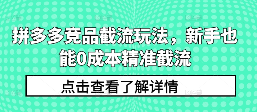 拼多多竞品截流玩法,新手也能0成本精准截流-淘金日记