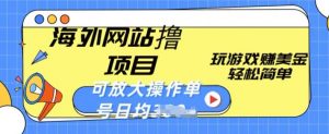 海外网站撸金项目，玩游戏赚美金，轻松简单可放大操作，单号每天均一两张【揭秘】-淘金日记