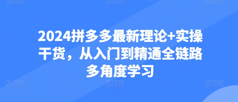 2024拼多多最新理论+实操干货，从入门到精通全链路多角度学习-淘金日记