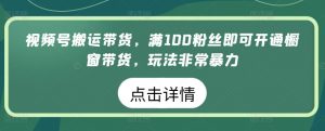 视频号搬运带货,满100粉丝即可开通橱窗带货,玩法非常暴力【揭秘】-淘金日记