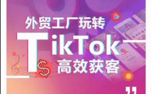 外贸工厂玩转TikTok高效获客,多种引流方式与账号定位技巧,拆解爆款短视频打造成功案例-淘金日记