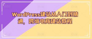 WordPress建站从入门到精通,跨境电商建站教程-淘金日记