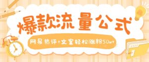 爆款流量公式,网易热评+文案轻松涨粉50w+【揭秘】-淘金日记