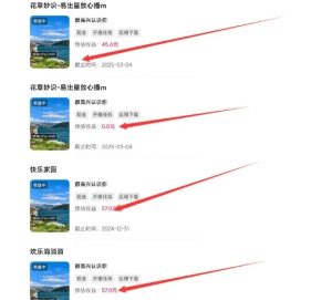 磁力聚星游戏副业陪跑训练营1.0,长期稳定项目,有人一周干了1K+-淘金日记