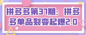 拼多多第37期：拼多多单品裂变起爆2.0-淘金日记