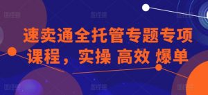 速卖通全托管专题专项课程，实操 高效 爆单-淘金日记