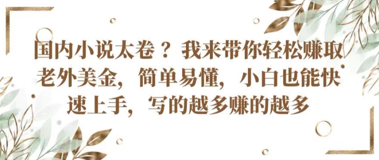 国内小说太卷 ?带你轻松赚取老外美金,简单易懂,小白也能快速上手,写的越多赚的越多【揭秘】-淘金日记