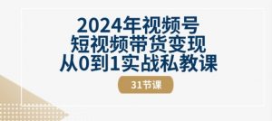 2024年视频号短视频带货变现从0到1实战私教课(31节视频课)-淘金日记