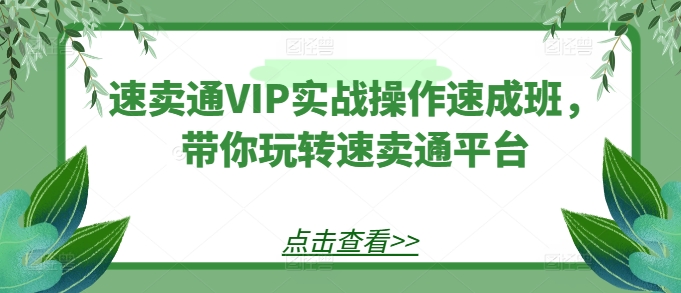 速卖通VIP实战操作速成班，带你玩转速卖通平台-淘金日记