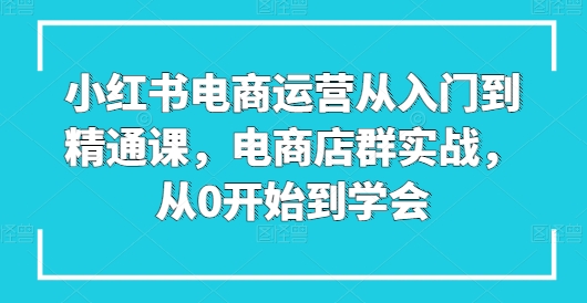 小红书电商运营从入门到精通课，电商店群实战，从0开始到学会-淘金日记