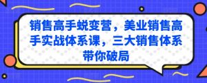 销售高手蜕变营,美业销售高手实战体系课,三大销售体系带你破局-淘金日记
