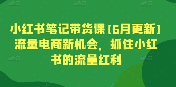 小红书笔记带货课【6月更新】流量电商新机会,抓住小红书的流量红利-淘金日记