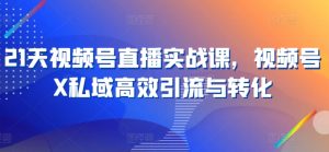 21天视频号直播实战课,视频号X私域高效引流与转化-淘金日记