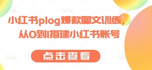 小红书plog爆款图文训练,从0到1搭建小红书账号-淘金日记
