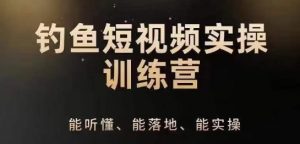 0基础学习钓鱼短视频系统运营实操技巧,钓鱼再到系统性讲解定位ip策划技巧-淘金日记