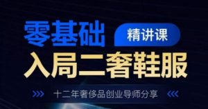 零基础入局二奢鞋服精讲课,十二年奢侈品创业导师分享-淘金日记