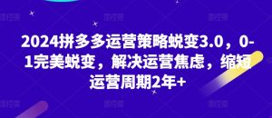 2024拼多多运营策略蜕变3.0，0-1完美蜕变，解决运营焦虑，缩短运营周期2年+-淘金日记
