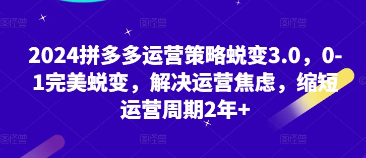 2024拼多多运营策略蜕变3.0,0-1完美蜕变,解决运营焦虑,缩短运营周期2年+-淘金日记