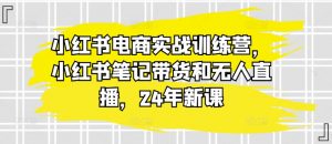 小红书电商实战训练营,小红书笔记带货和无人直播,24年新课-淘金日记