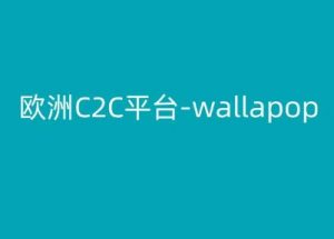欧洲C2C平台-wallapop-kim跨境电商教程-淘金日记