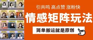 简单搬运，情感矩阵玩法，涨粉速度快，可带货，可起号【揭秘】-淘金日记