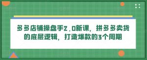 多多店铺操盘手2.0新课,拼多多卖货的底层逻辑,打造爆款的3个周期-淘金日记