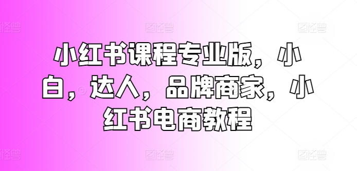 小红书课程专业版,小白,达人,品牌商家,小红书电商教程-淘金日记