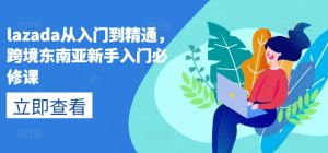 lazada从入门到精通,跨境东南亚新手入门必修课-淘金日记
