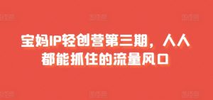 宝妈IP轻创营第三期,人人都能抓住的流量风口-淘金日记