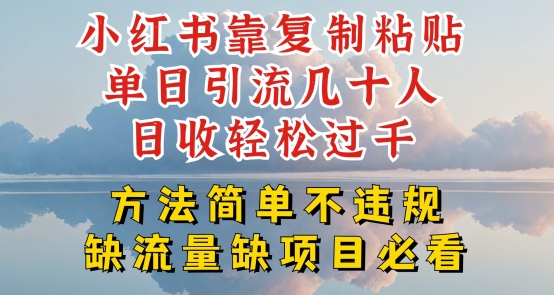 小红书靠复制粘贴单日引流几十人目收轻松过千,方法简单不违规【揭秘】-淘金日记