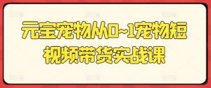 元宝宠物从0~1宠物短视频带货实战课-淘金日记