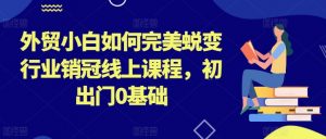 外贸小白如何完美蜕变行业销冠线上课程,初出门0基础-淘金日记