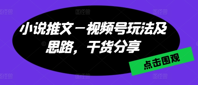 小说推文—视频号玩法及思路，干货分享-淘金日记