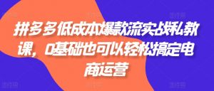 拼多多低成本爆款流实战私教课，0基础也可以轻松搞定电商运营-淘金日记