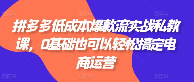 拼多多低成本爆款流实战私教课，0基础也可以轻松搞定电商运营-淘金日记