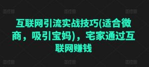 互联网引流实战技巧(适合微商,吸引宝妈),宅家通过互联网赚钱-淘金日记
