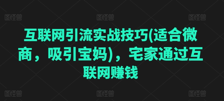 互联网引流实战技巧(适合微商,吸引宝妈),宅家通过互联网赚钱-淘金日记