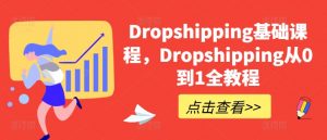 Dropshipping基础课程，Dropshipping从0到1全教程-淘金日记