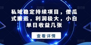 私域稳定持续项目，傻瓜式搬运，利润极大，小白单日收益几张【揭秘】-淘金日记
