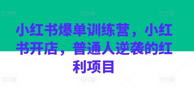 小红书爆单训练营,小红书开店,普通人逆袭的红利项目-淘金日记