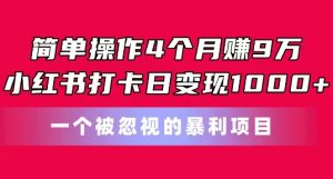 简单操作4个月赚9w，小红书打卡日变现1k，一个被忽视的暴力项目【揭秘】-淘金日记