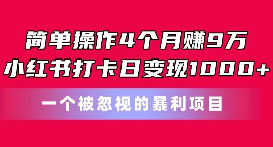 简单操作4个月赚9w,小红书打卡日变现1k,一个被忽视的暴力项目【揭秘】-淘金日记