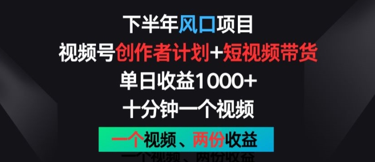 下半年风口项目,视频号创作者计划+视频带货,一个视频两份收益,十分钟一个视频【揭秘】-淘金日记