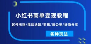 小红书商单变现教程:起号涨粉/爆款选题/剪辑/蒲公英/好物分享/各种玩法-淘金日记