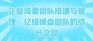 企业流量团队搭建与管理,亿级操盘团队的成长之路-淘金日记
