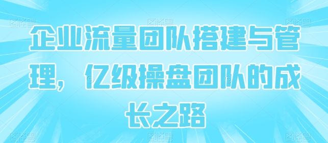 企业流量团队搭建与管理,亿级操盘团队的成长之路-淘金日记